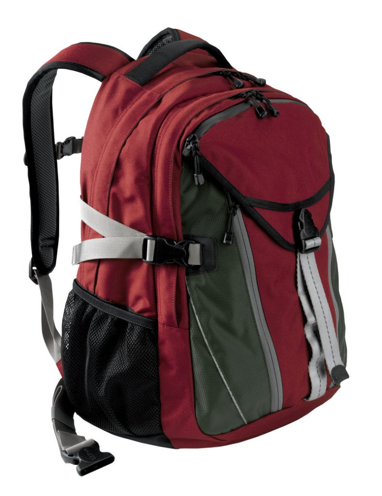 The L.L. Bean Quad Pack has a padded laptop sleeve and sells for $59.99.