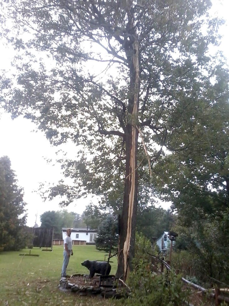 Tammy Gagnon said a lightning strike around 12:30 p.m. knocked a strip of wood out of one of her backyard trees on Sadler Drive in Sidney. She said nothing else was damaged from the strike.