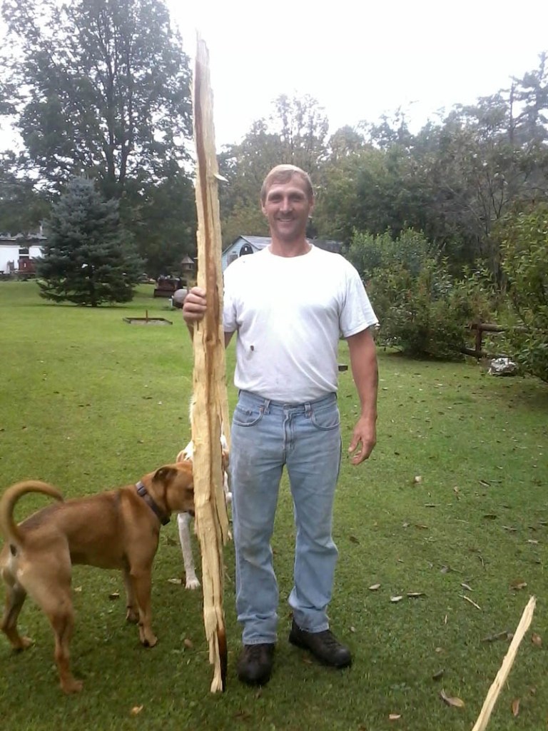 Contributed photo Tammy Gagnon said a lightning strike around 12:30 p.m. knocked a strip of wood out of one of her backyard trees on Sadler Drive in Sidney. She said nothing else was damaged from the strike. Her husband, Jeffrey, is shown with some of the damaged wood.