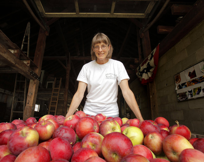 Ellen McAdam traces the family history of McDougal Orchards to a 1779 tax auction. The family grows 24 varieties of apples.