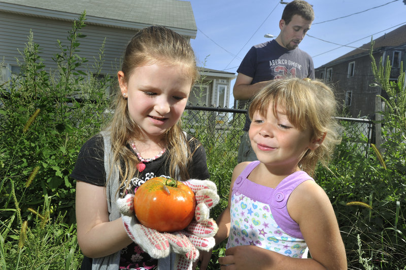 Charity Slade, 5, shows a tomato with a slug on it to her friend, McKenna Hodgkin, 4, while they work in the community garden at the Joyful Harvest Neighborhood Center on Pierson’s Lane in Biddeford. The faith-based center focuses its programming on youths and families, especially residents in the surrounding neighborhood.