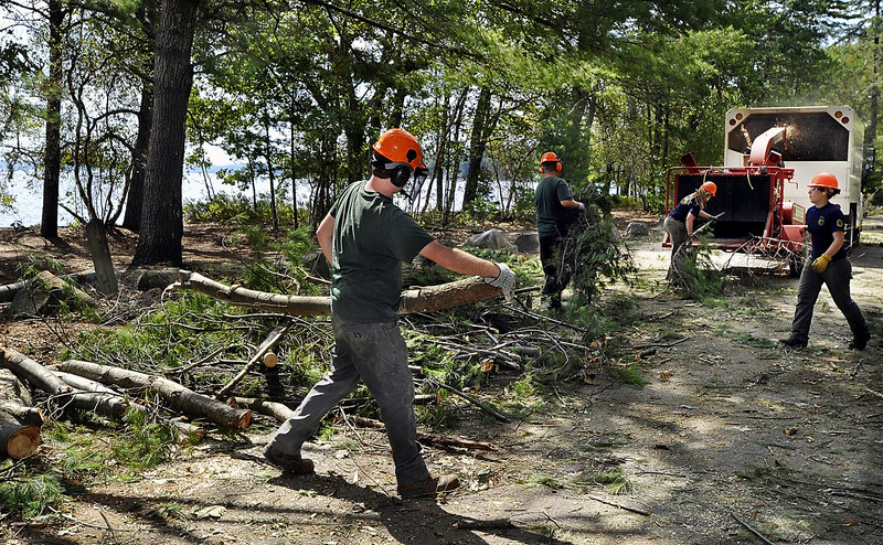 Forest service rangers and workers from the Bureau of Parks and Lands and the Maine Conservation Corps remove storm-damaged trees and feed them into a wood chipper Wednesday at Sebago Lake State Park. The chips will be recycled for trails and other uses.