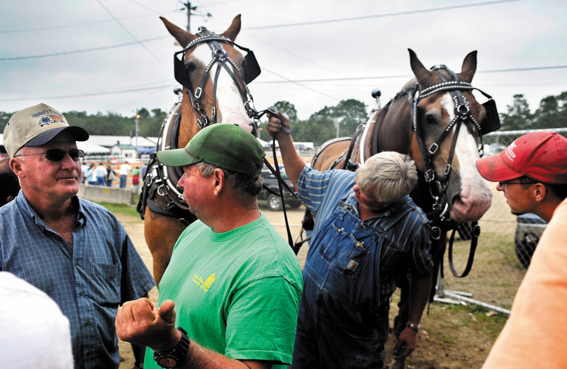 Teamsters inspect horses Monday before a scoot on the last day of the Windsor Fair. Teams from across New England pulled during the final event in the ring.