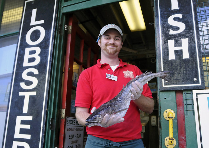 Dan Kraus, retail manager at Harbor Fish Market in Portland, shows off a whiting Friday. Fishermen and restaurant owners want to introduce consumers to five species of fish.