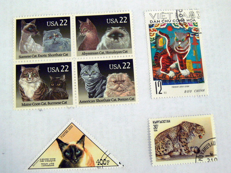 These cat stamps were collected by Tricia Currie Hunt of Windham. Top left are stamps from the United States, top right from Vietnam and bottom left from Togo. Hunt is trying to find out where the stamp on the lower right is from.