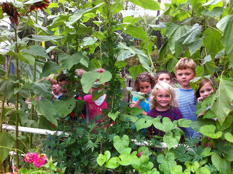 Youngsters at Georgetown Central School show off their garden, which is among those hosting free events for Saturday’s School Garden Open House.