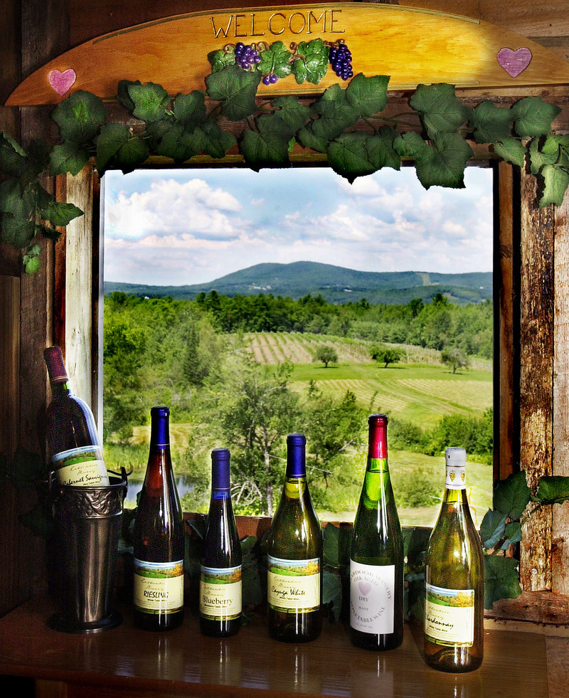 A view of Cellardoor Winerys largest vineyard, above, is seen through the window of Cellardoors retail store.