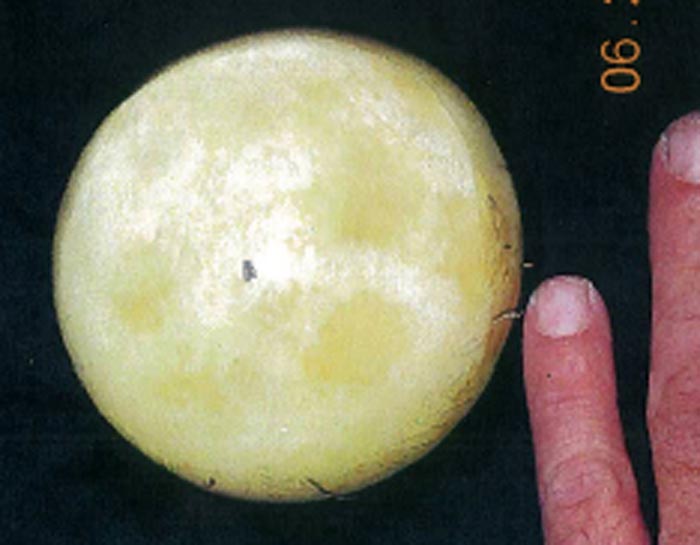 This image displayed on a search warrant provided by the U.S. District Court for the Central District of California shows a very small piece of moon rock, center, taken from Joann Davis during a sting operation where NASA investigators and local agents swooped into a Denny's restaurant to detain Davis.