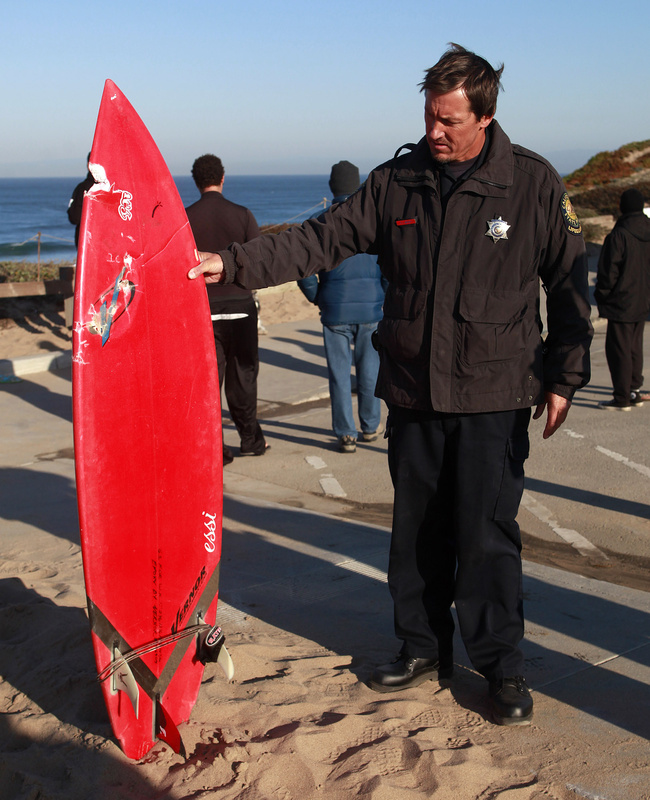 California state lifeguard Kevin Brady holds a surfboard with a shark bite in it after an attack at Marina State Beach on Saturday.