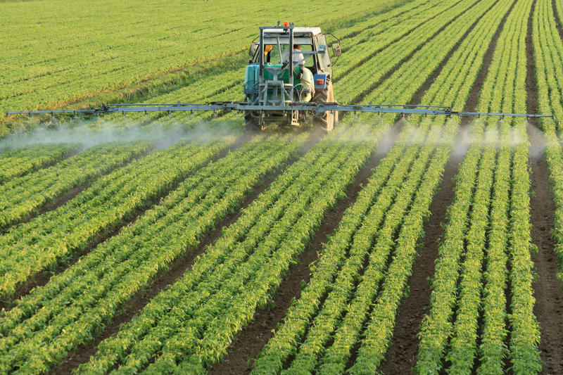 According to the federal Environmental Protection Agency, more than 1 billion pounds of pesticides are sprayed in the U.S. each year. In Maine in 2000, the most recent year for which the Maine Board of Pesticides Control could provide figures, farmers and foresters applied more than 3 million pounds of pesticides.