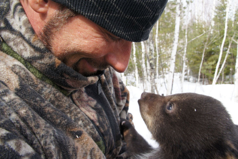 Blaine Anthony keeps an eye on a newborn black bear cub during filming for his TV show on The Sportsman Channel.