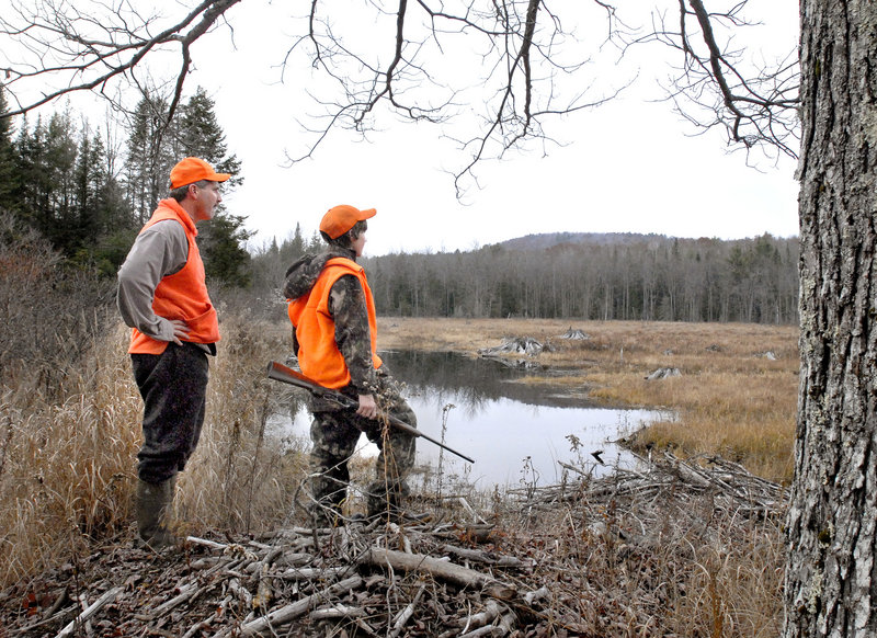 Trevor and Zach Tidd hunt moose in Casco in November 2008, during the first season the hunt was extended to southern Maine since 1920.