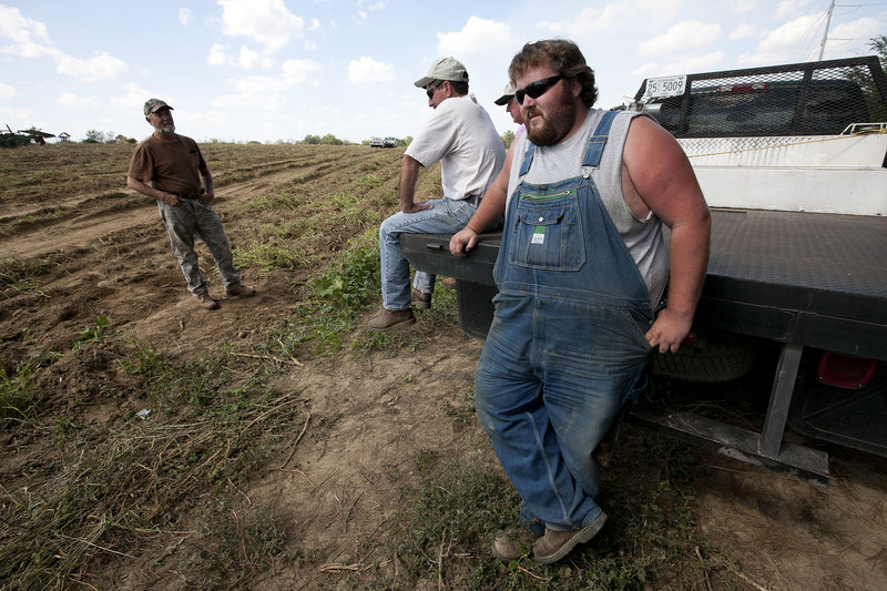 Potato farmer Casey Smith, right, looks at a nearly empty potato field that needs cultivating on his father’s farm in Cullman, Ala. Smith typically hires about 25 laborers to help bring in his crop. However, only five workers showed up last Thursday, the day that Alabama’s stringent immigration law took effect.