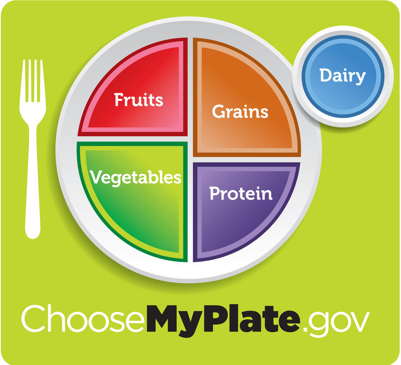 The U.S. Department of Agriculture’s updated visual for its healthy eating guidelines.