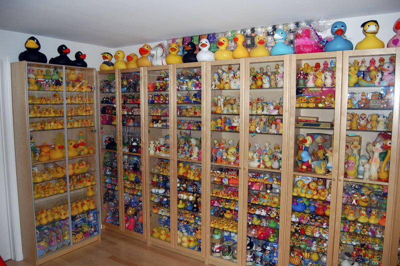 Charlotte Lee, a University of Washington engineering professor, has a record 5,239 rubber ducks in her rubber duck collection. She keeps her ducks corralled in floor-to-ceiling bookcases in the basement of her home.
