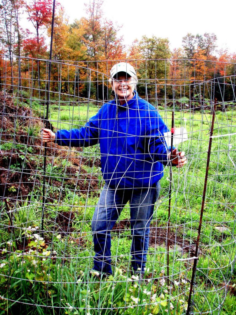 Marcia Baker, a volunteer with the Rangeley Region Guides and Sportsmen’s Association, stands by a fence on one of the club’s deer food plots. The fence is used to monitor to what extent the area outside the fence is being grazed.