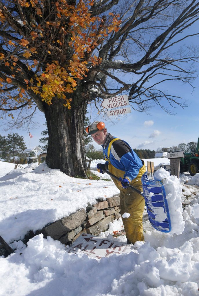 With leaves still on a maple tree behind him, Drew Klein-Robbenhaar of K-R Farm in Acton shovels a path in front of his farm stand Sunday.