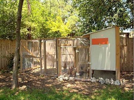This home in Austin, Texas, features a backyard chicken coop.