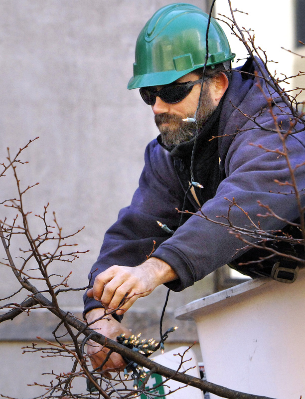 Mike Grant of Portland's Forestry Department hangs Christmas lights in the trees in Monument Square on Monday.
