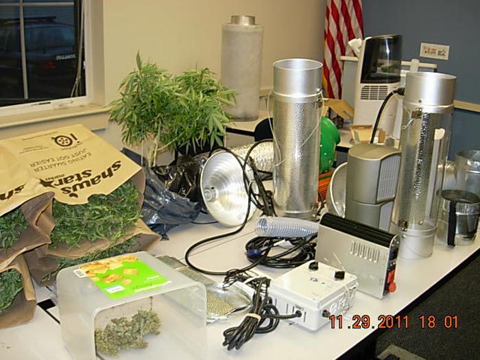 Police say 11 pounds of marijuana and specialized growing apparatus were seized from Kellyjean Kelley's apartment.