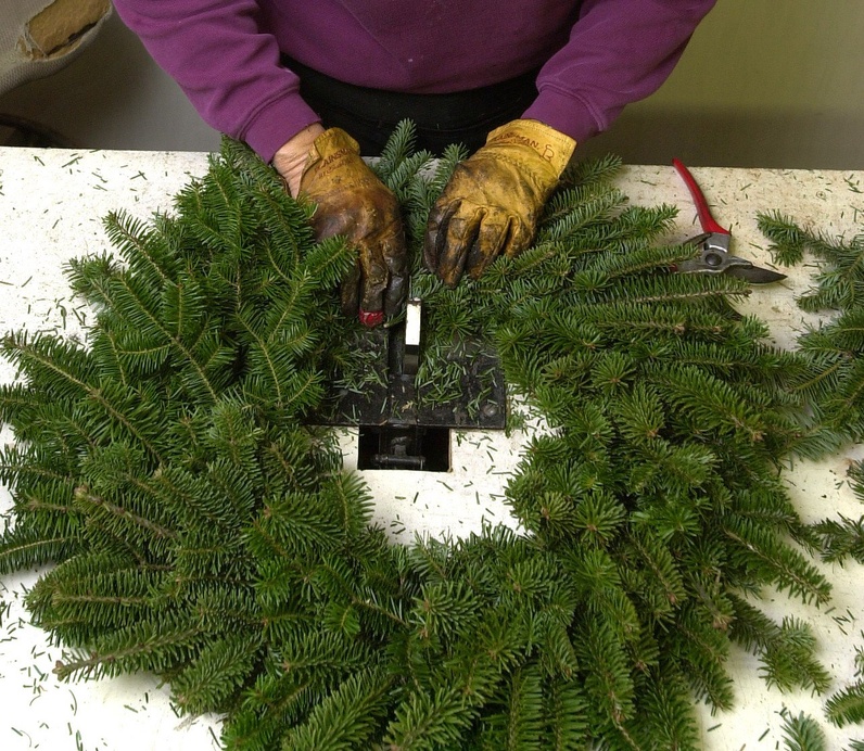 The Maine Department of Agriculture has made an information sheet available that outlines other states' import restrictions, so Maine companies that export Christmas trees and wreaths will be informed. Gordon Chibroski Christmas tree farm Wreathes