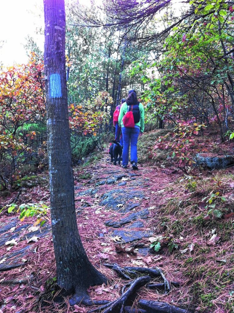 The Burnt Meadow Mountain trail is well-marked with blue blazes.
