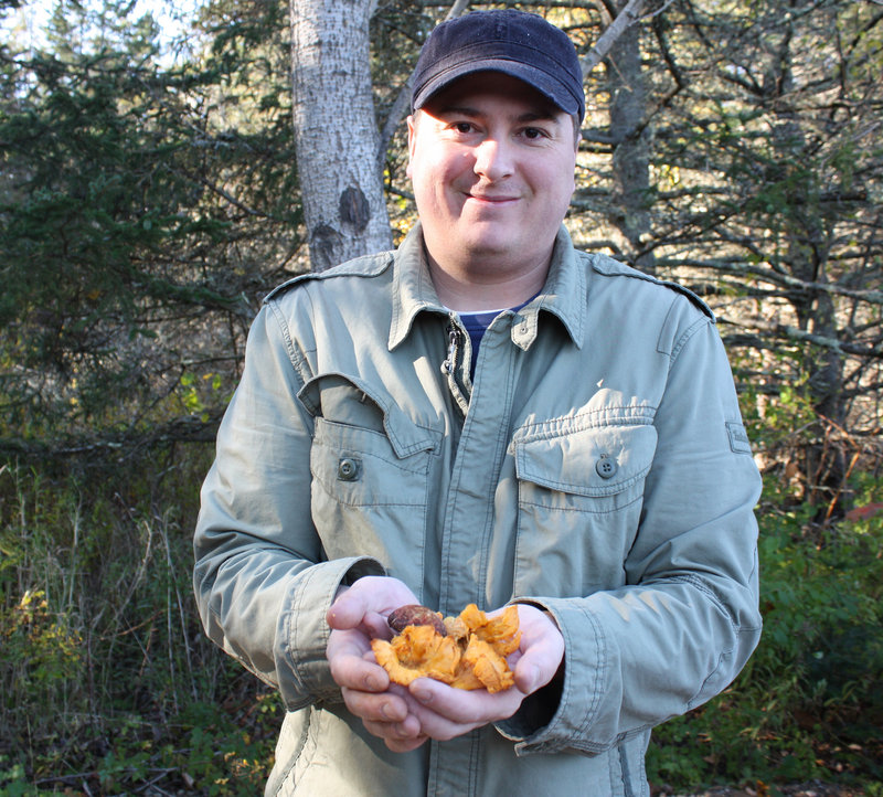 Chef David Ross shows off the mushrooms he collected during an hour's walk in the woods.