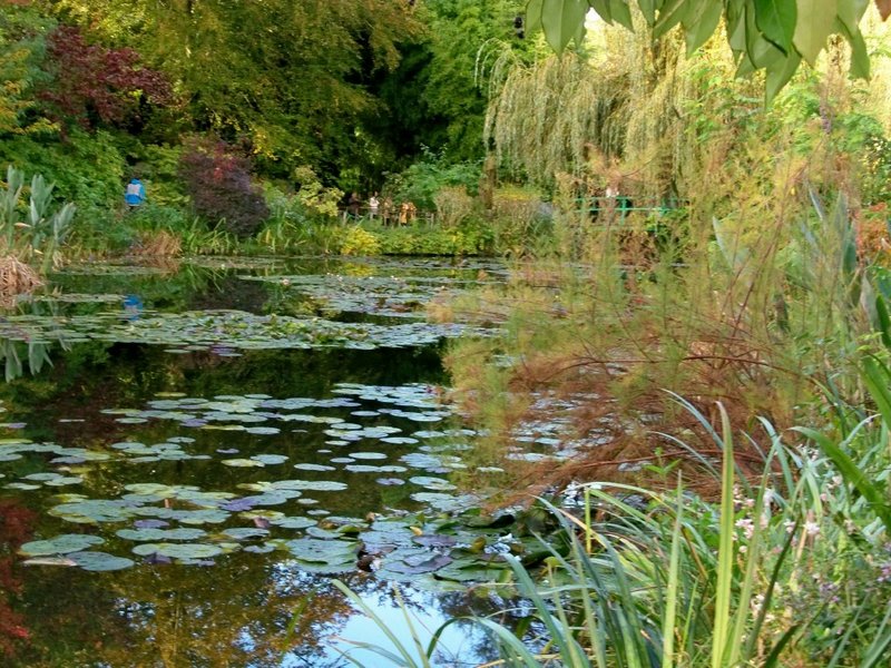 Monet’s Japanese garden at Giverny, France.