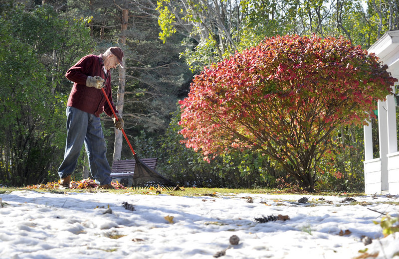 Windham resident Kermit Hodgdon doesn t let a little snow stop him from raking leaves in his yard along Route 202 on Monday. More raking weather is in store for the rest of this week with sunny skies and moderate temperatures.