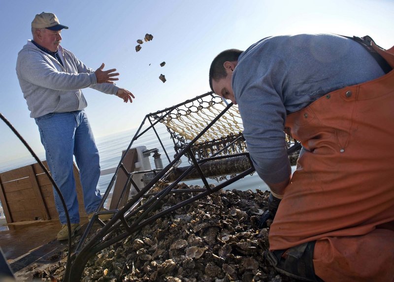 Capt. Barry Sweitzer, left, and first mate Kelly Sullivan, 24, throw away most of their oyster catch on their final voyage on the Hilda M. Willing skipjack. “The oyster industry in the northern bay is gone,” Sweitzer says.