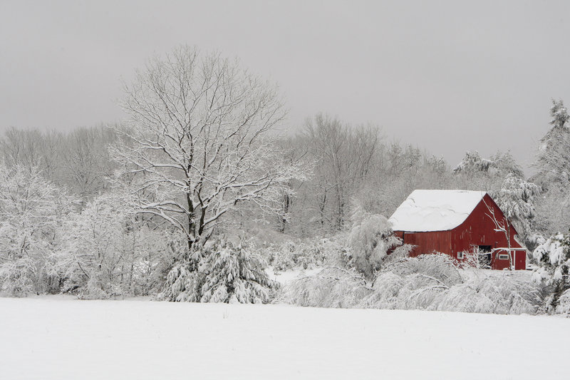 The dark color of this barn in Hollis stands in contrast to the blanket of snow that greeted parts of Maine in advance of Thanksgiving Day.