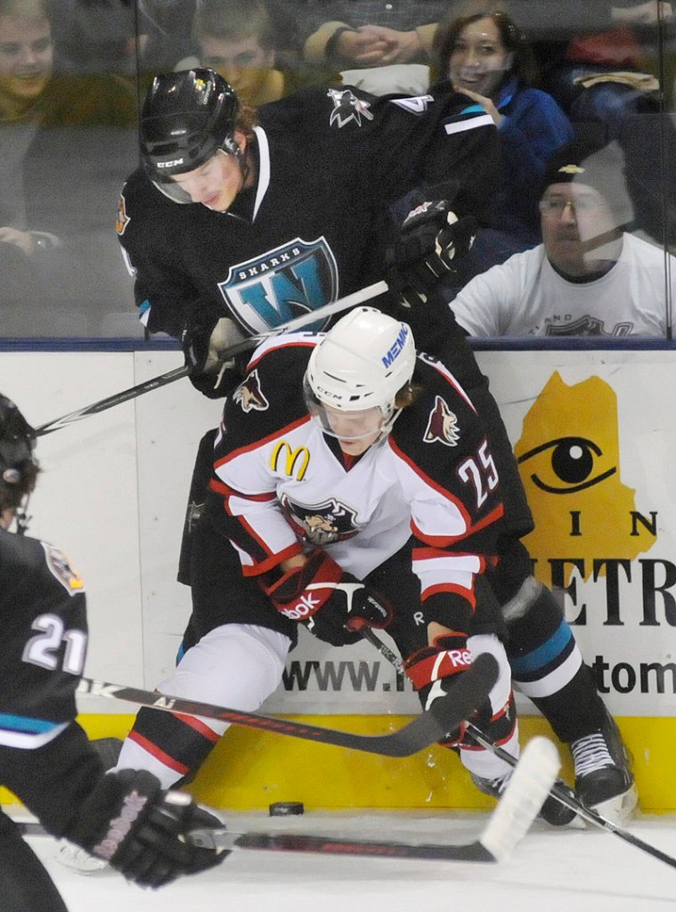 Ivan Bloodoff of the Portland Pirates attempts to gain control of the puck while checking Taylor Doherty of the Worcester Sharks along the boards.