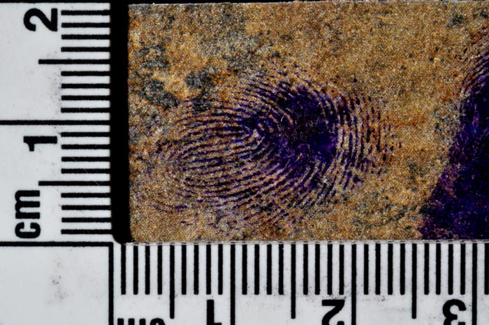 A bloody fingerprint developed with a chemical called LCV – which stands for Leuco Crystal Violet. “There’s a lot of science behind the processes we use, and it’s all the scientific side of it I’m really most interested in,” says Detective Keith Cook.