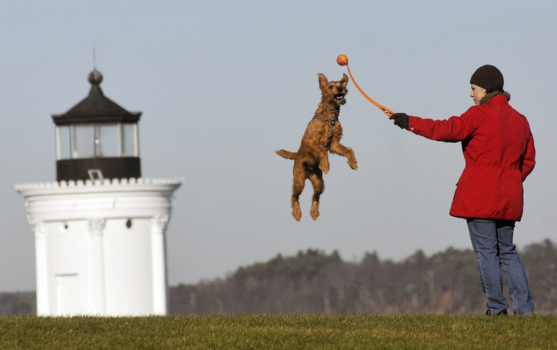 Rachelle Pellerin of South Portland prepares to hurl a ball for her enthusiastic dog Utah, an Irish terrier, at Bug Light Park in South Portland on Monday. Sunny weather is expected again today.