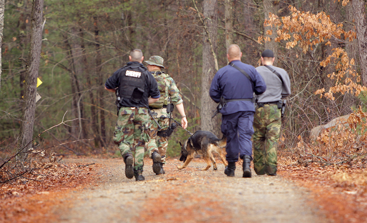A police K-9 team scouts on a road in the Massabesic Experimental Forest in Alfred today.