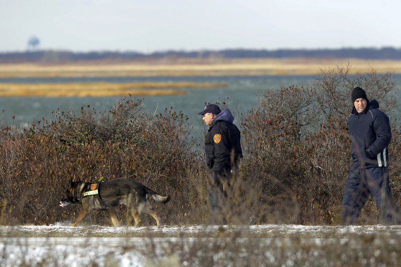 Authorities search the brush for human remains at Cedar Beach near Babylon, N.Y., in December 2010. Detectives now think only one person is responsible for the deaths.