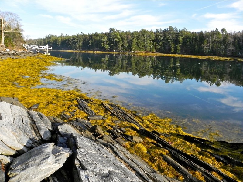 A long, narrow cove on the southern end of Birch Island, between Merepoint Bay and Middle Bay, provides calm water and with views of spruce and fir trees along the shore.