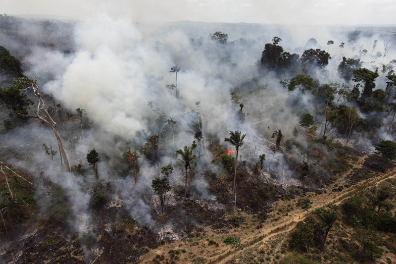 A section of forest in the Amazon is illegally burned on the outskirts of Novo Progresso, in the northern Brazilian state of Para, in the September 2009 photo. Annual destruction of the Amazon rain forest fell to its lowest recorded level this year, Brazilian authorities said Monday.