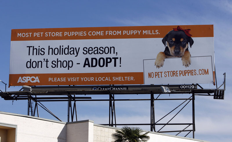 Atop a building in Los Angeles on Tuesday, a billboard encourages people to fight puppy mills by boycotting pet stores that sell puppies. The American Society for the Prevention of Cruelty to Animals and other groups are stepping up efforts to stop sales from puppy mills.