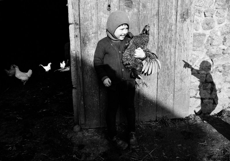 “Marie-Christine and Her Hen,” 1975, from “Madeleine de Sinety: Photographs,” which concludes its run at the Portland Museum of Art on Dec. 31.