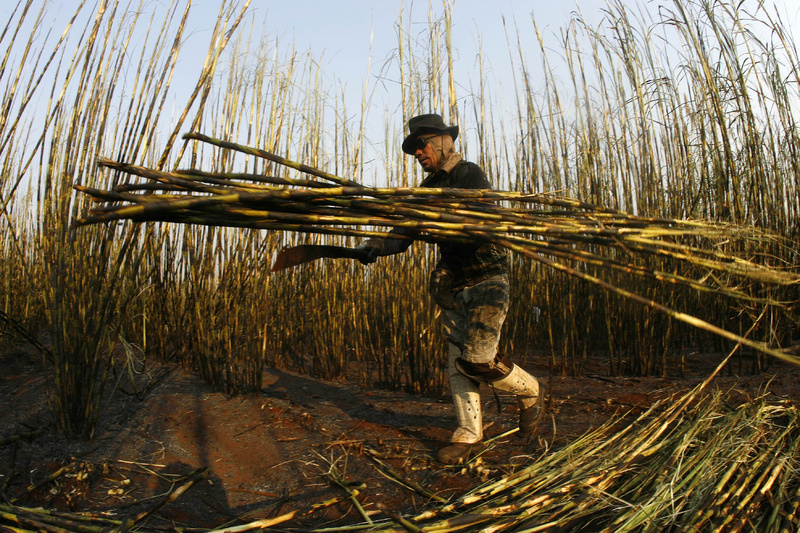A sugar cane cutter works in Batatais, Brazil. Employers on the nation’s “dirty list” can’t get credit from banks.