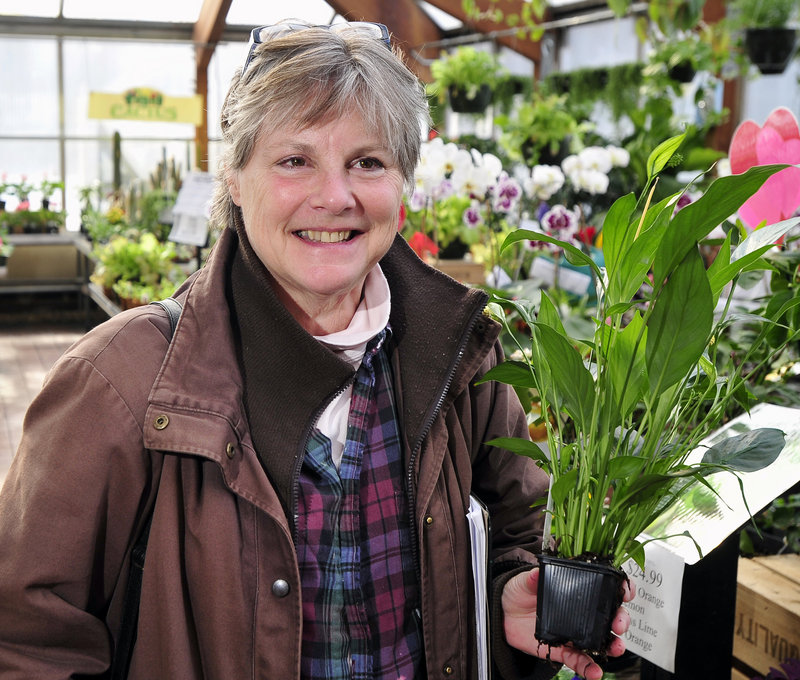 Anne Hagstrom of Yarmouth shops for plants at Skillins Greenhouses in Falmouth on Saturday. Hagstrom said she is looking forward to experimenting with different plant species in her community garden plot, but worries that her expanding choices may be the result of climate change.