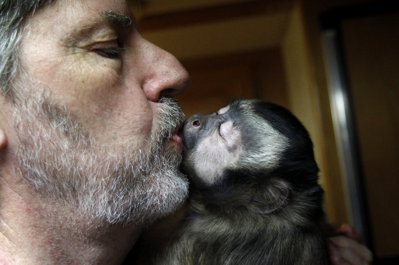 Jim Clark kisses one of his four Capuchin monkeys somewhere in Texas. He fears that wildlife agents will seize the four monkeys he’s raised for 10 years.