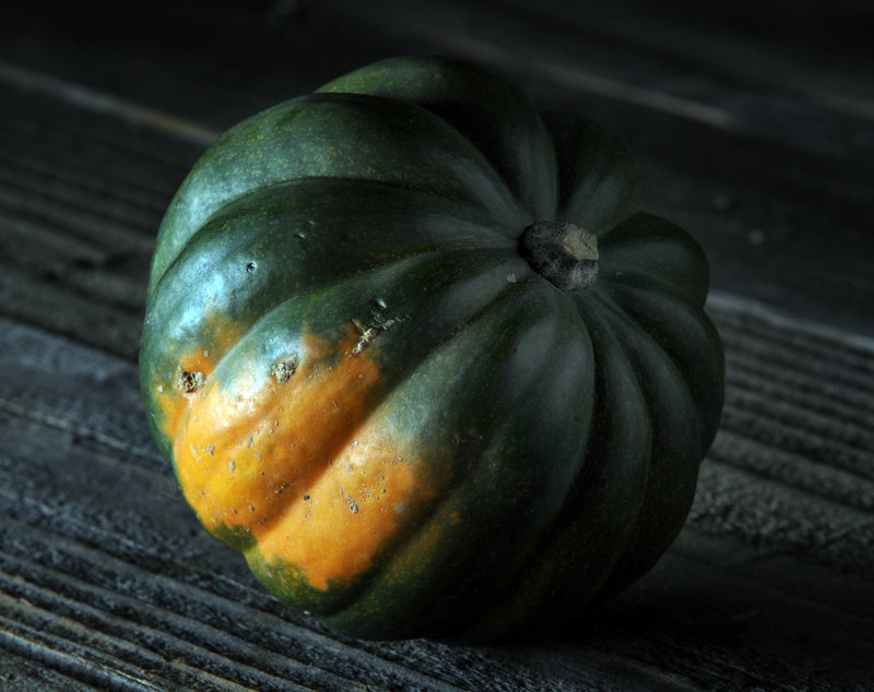 Acorn squash, a dark bluish-green squash, may be the most common winter squash outside California.