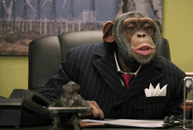 The CareerBuilders.com chimp