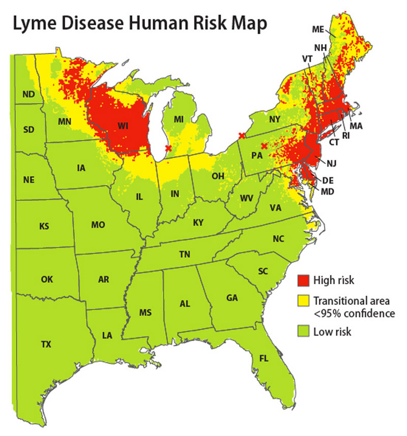 The map released by the Yale School of Public Health on Friday indicates areas where people have the highest risk of contracting Lyme disease based on 2004-2007 data. Researchers dragged fabric sheets through the woods to snag ticks. The map shows a clear risk across much of the Northeast.