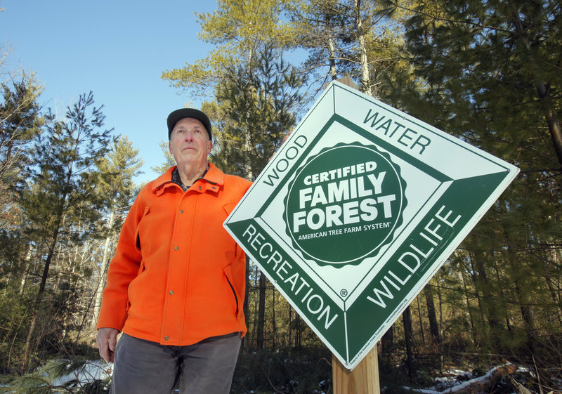 Towle manages his land as a forestry resource, primarily selling tall eastern white pines that grow there, and keeps it open for some recreational use, including snowmobiling and cross country skiing.