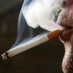 Link between smoking and bladder cancer