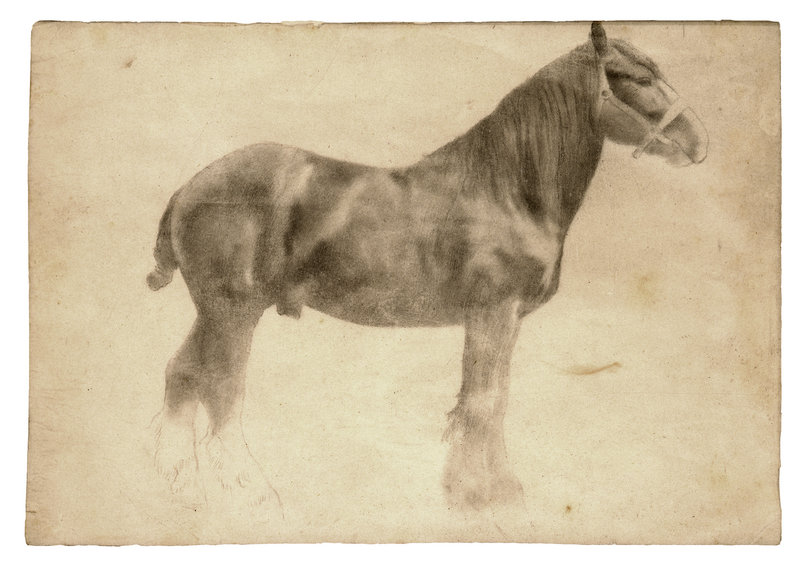 “Plough Horse,” a work in graphite by Edgar Degas, from “Edgar Degas: The Private Impressionist,” opening Feb. 23 at the Portland Museum of Art.