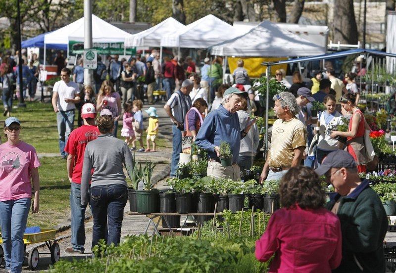 A crowd gathers at the farmers market in Deering Oaks in 2010. A USDA official says an expanded card-swipe program at the Portland and Lewiston farmers markets will help provide healthier food to food stamp recipients.